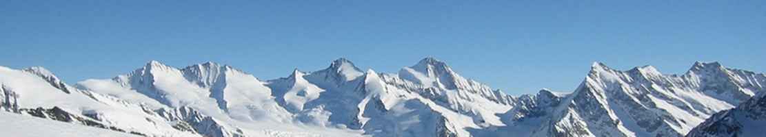 header_07.jpg